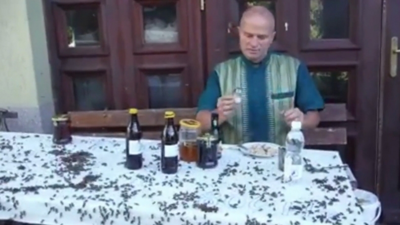 Śniadanko z pszczółkami