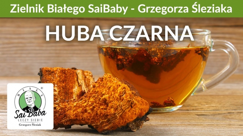 Zielnik Grzegorza Śleziaka - Huba czarna kontra nowotwory i HIV