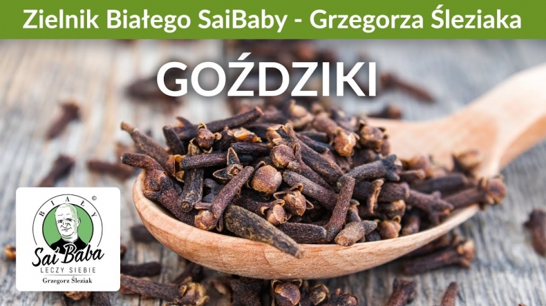 Zielnik Grzegorza Śleziaka - Goździki