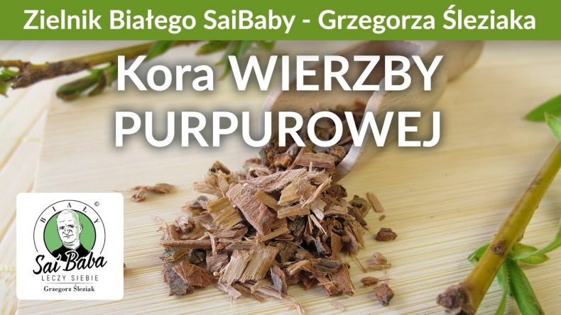 Zielnik Grzegorza Śleziaka - Kora wierzby purpurowej jako naturalna alternatywa dla aspiryny