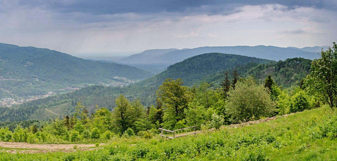 AdobeStock_111941972.jpg